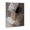 Stupell Industries Black & Brown Gossamer Flowers Canvas By Annabelle Hall